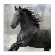 Kim Allen | Black Stallion Horse