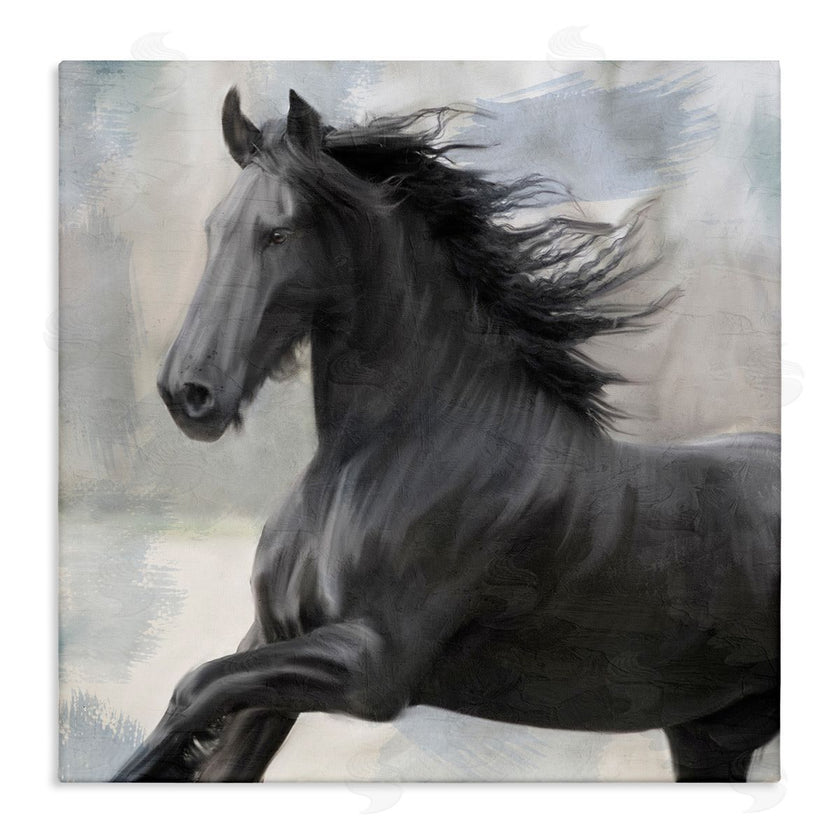 Kim Allen | Black Stallion Horse