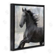 Kim Allen | Black Stallion Horse
