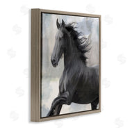 Kim Allen | Black Stallion Horse