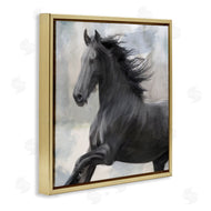 Kim Allen | Black Stallion Horse