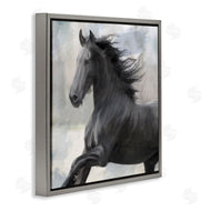 Kim Allen | Black Stallion Horse