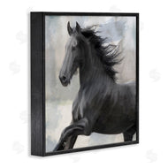 Kim Allen | Black Stallion Horse