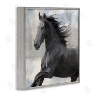 Kim Allen | Black Stallion Horse