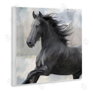 Kim Allen | Black Stallion Horse