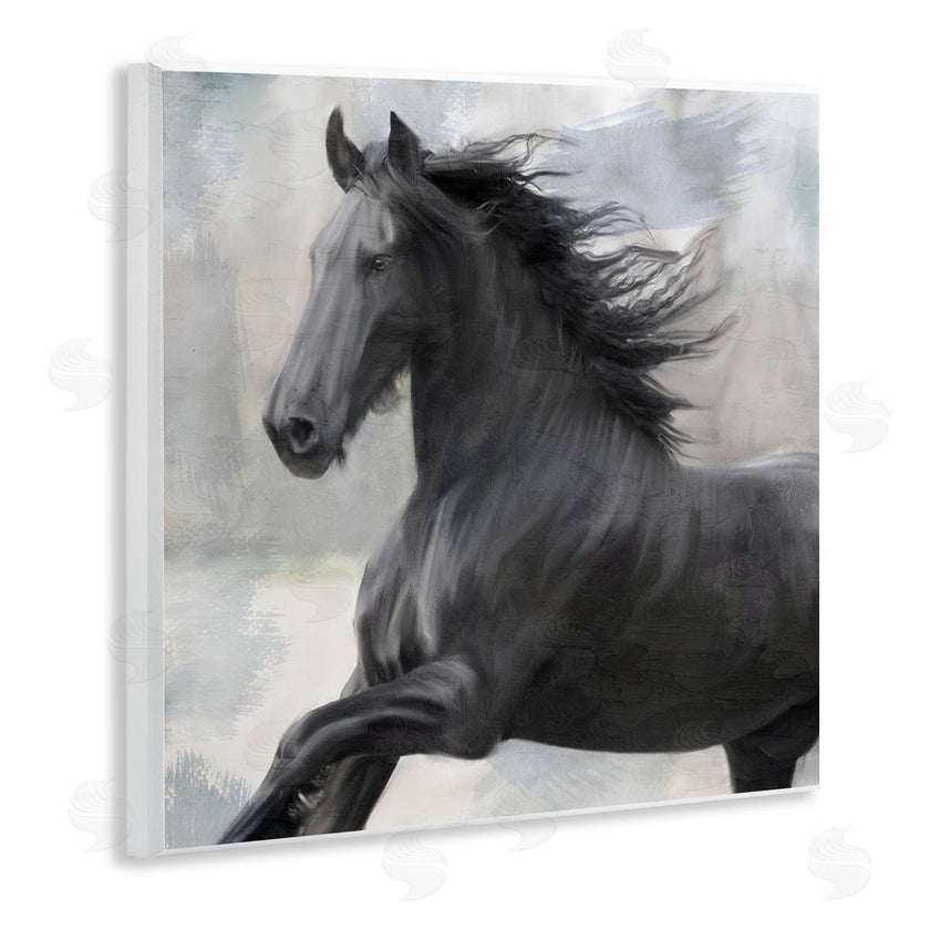 Kim Allen | Black Stallion Horse