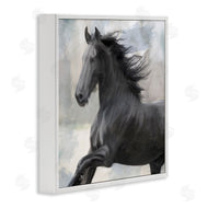 Kim Allen | Black Stallion Horse