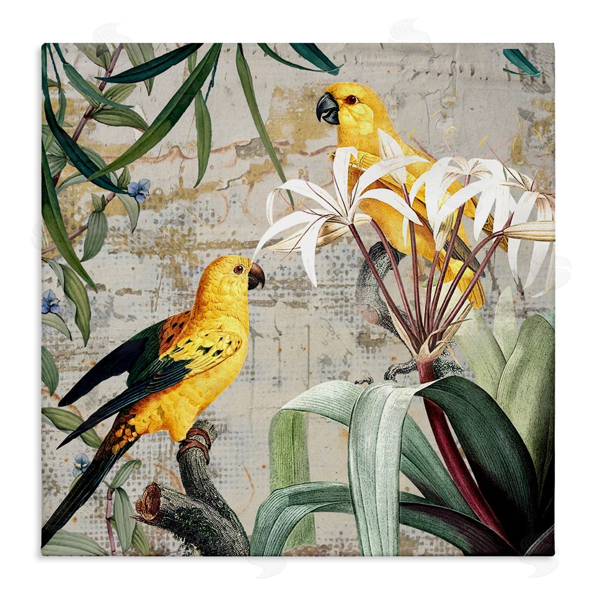 Karen Smith Tropical Yellow Birds Collage Canvas Wall Art