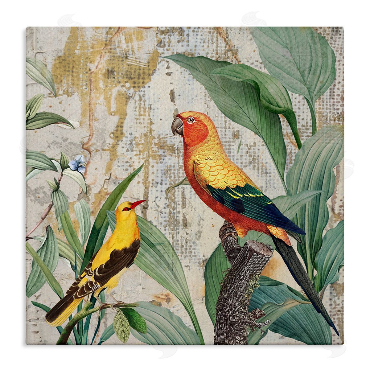 Karen Smith Perched Birds Collage Canvas Wall Art