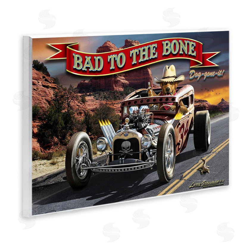 Larry Grossman | Bad to the Bone Dog