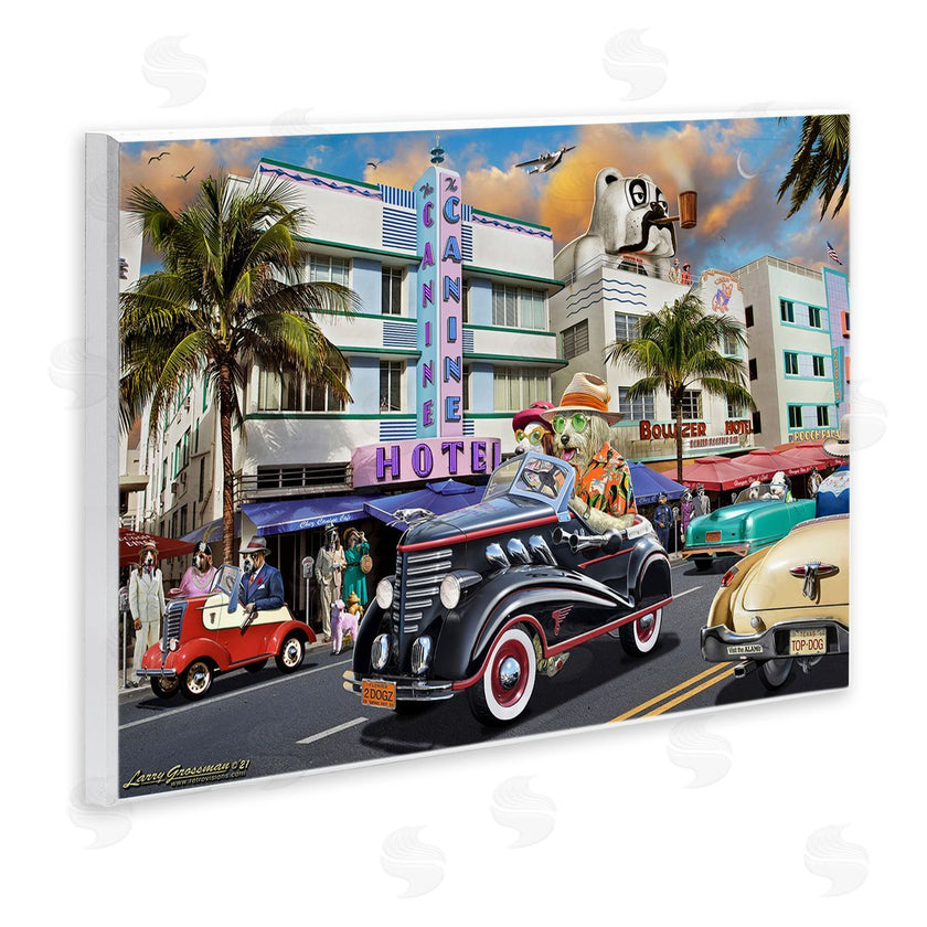 Larry Grossman | Dog Days Miami