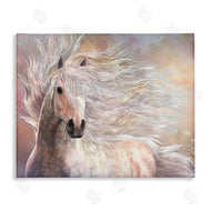 Laurie Prindle | Cielo Windblown Stallion Portrait