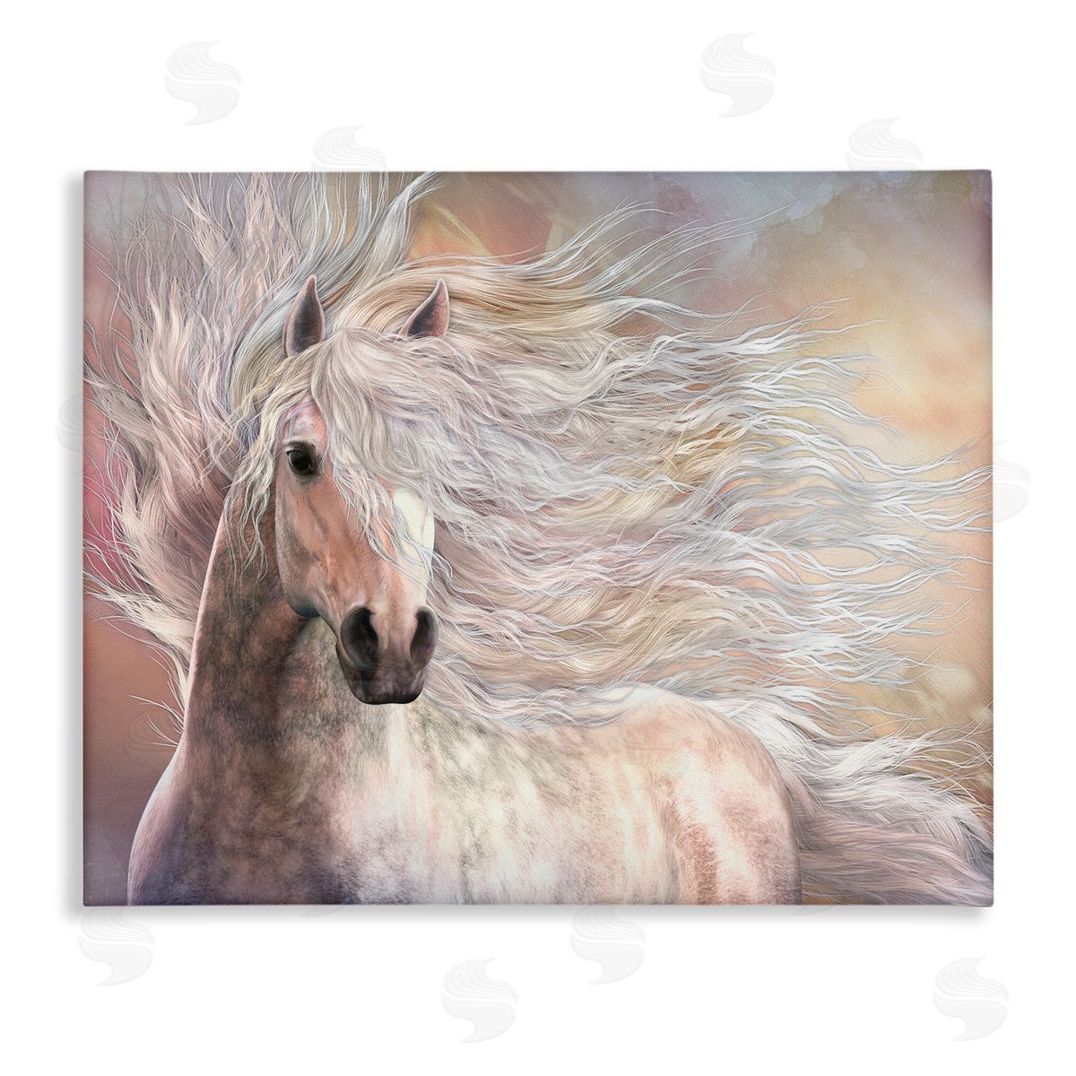 Laurie Prindle | Cielo Windblown Stallion Portrait