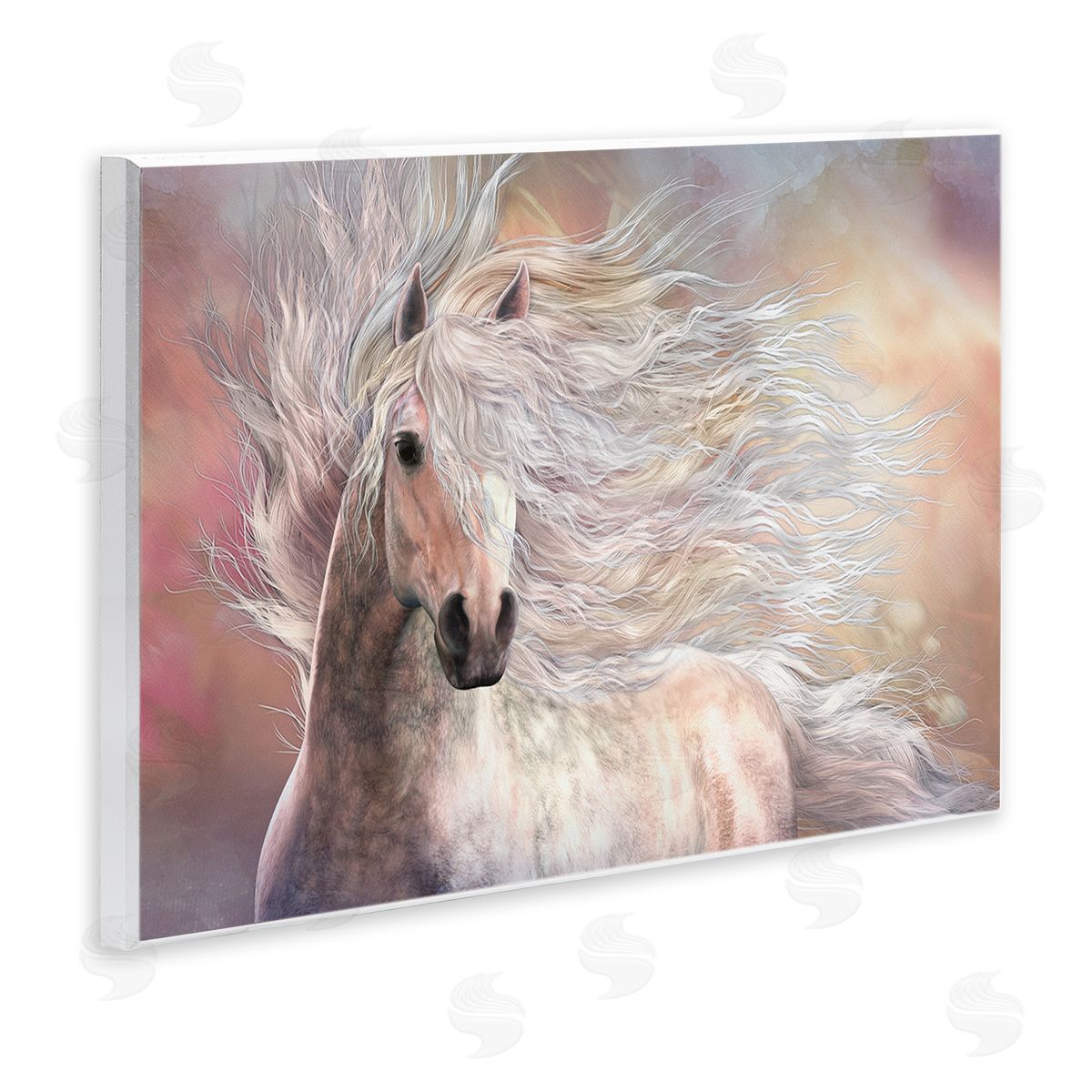 Laurie Prindle | Cielo Windblown Stallion Portrait