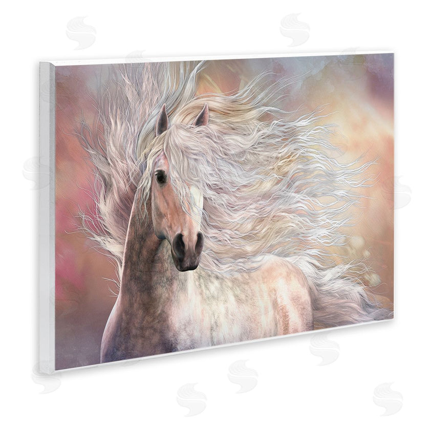 Laurie Prindle | Cielo Windblown Stallion Portrait