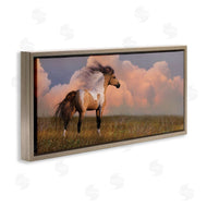 Laurie Prindle | Into the West Horse