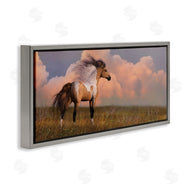 Laurie Prindle | Into the West Horse