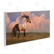 Laurie Prindle | Into the West Horse