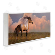 Laurie Prindle | Into the West Horse