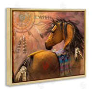 Laurie Prindle | Kiowa Gold Stallion