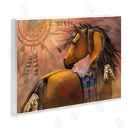 Laurie Prindle | Kiowa Gold Stallion