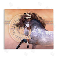 Laurie Prindle | Native Spirit Stallion