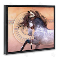 Laurie Prindle | Native Spirit Stallion