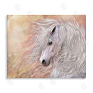 Laurie Prindle | Primavera White Horse