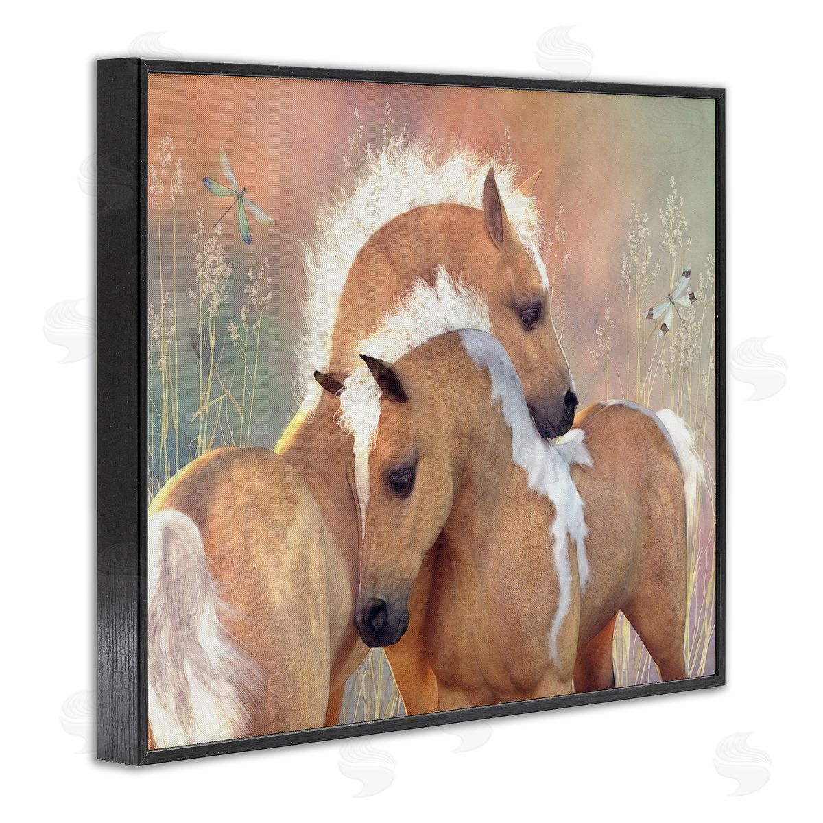 Laurie Prindle | Summer Dreams Horses