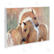 Laurie Prindle | Summer Dreams Horses