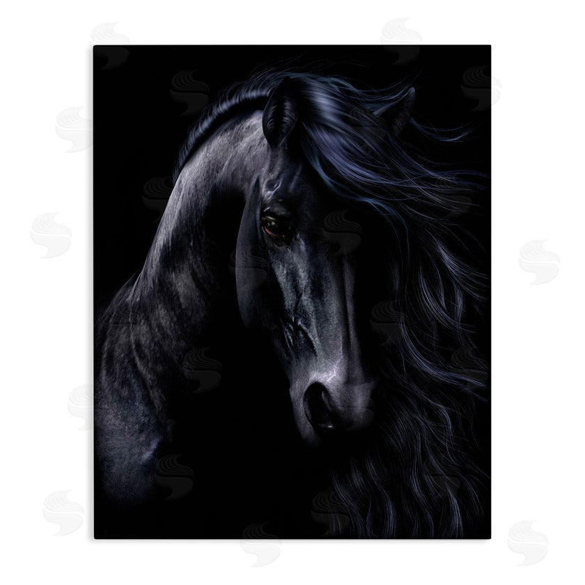Laurie Prindle | Black Stallion Portrait