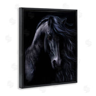 Laurie Prindle | Black Stallion Portrait