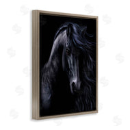 Laurie Prindle | Black Stallion Portrait
