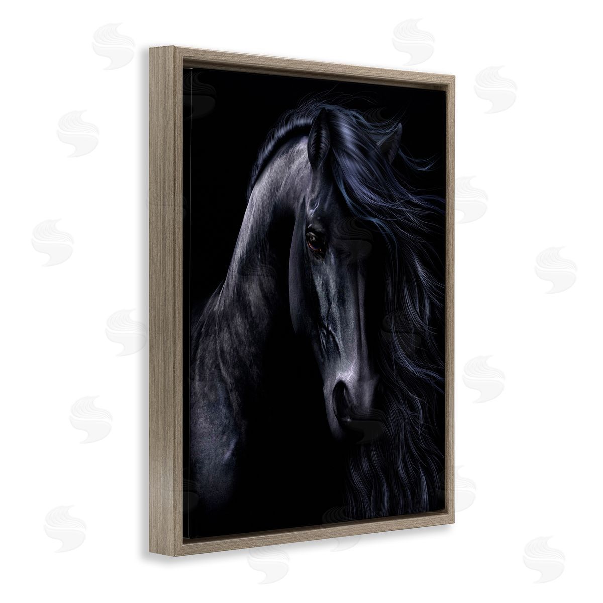 Laurie Prindle | Black Stallion Portrait