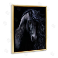 Laurie Prindle | Black Stallion Portrait