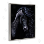 Laurie Prindle | Black Stallion Portrait