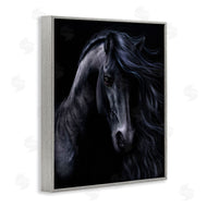 Laurie Prindle | Black Stallion Portrait