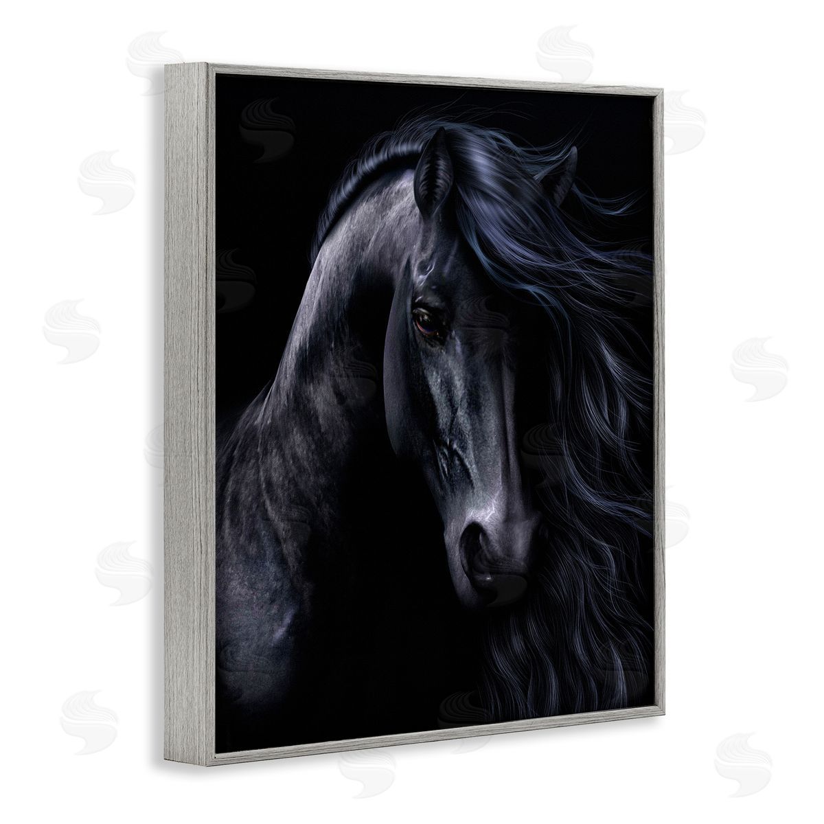 Laurie Prindle | Black Stallion Portrait