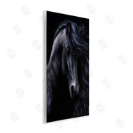 Laurie Prindle | Black Stallion Portrait