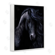 Laurie Prindle | Black Stallion Portrait