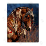 Laurie Prindle | War Pony Portrait