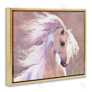 Laurie Prindle | White Horse in Nature