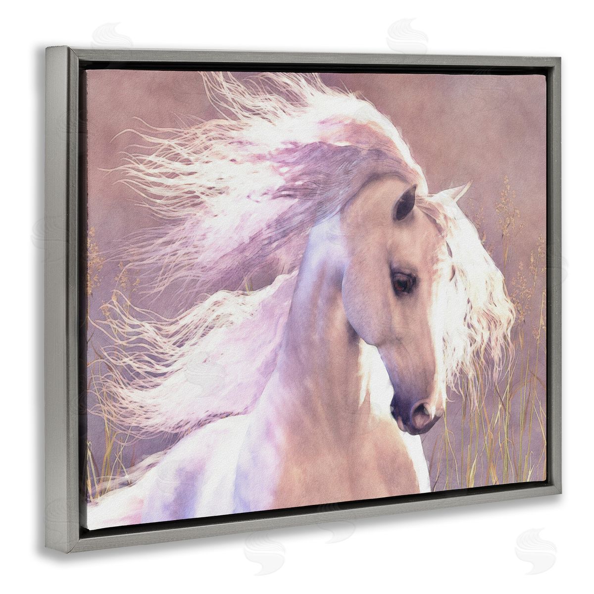 Laurie Prindle | White Horse in Nature