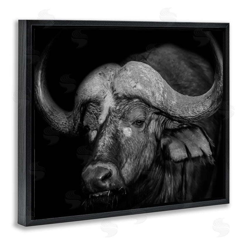 Marcus Prime | Dark Buffalo Photography