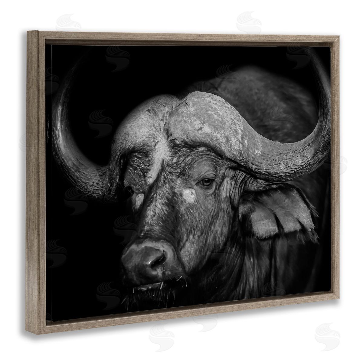 Marcus Prime Dark Buffalo Photography Brown Floater Frame Canvas Artside_