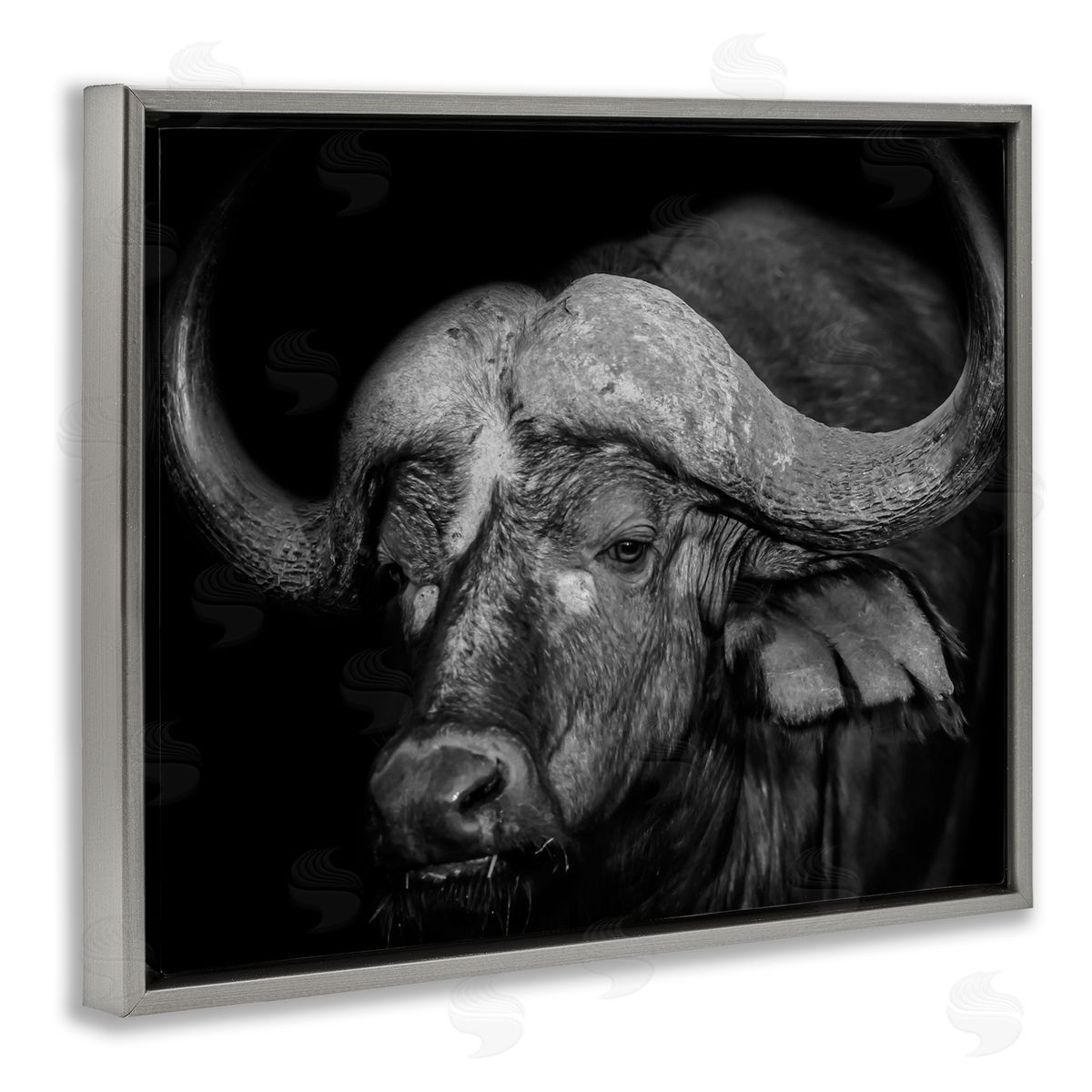 Marcus Prime Dark Buffalo Photography Gray Floater Frame Canvas Artside_