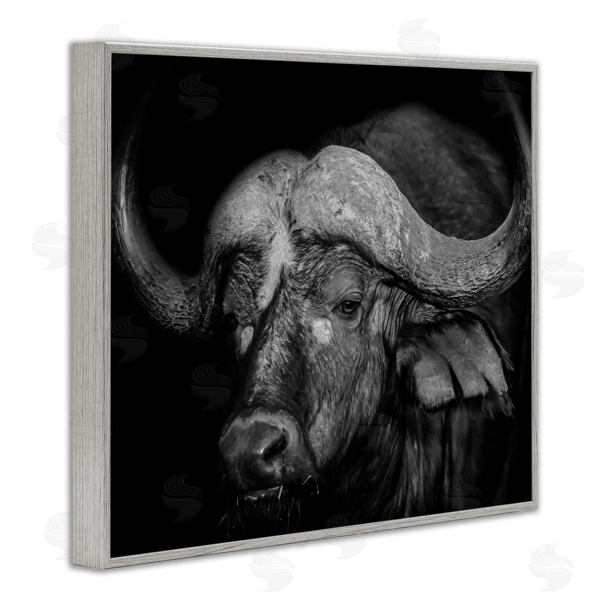 Marcus Prime Dark Buffalo Photography Gray Framed Giclee Wall Artside_