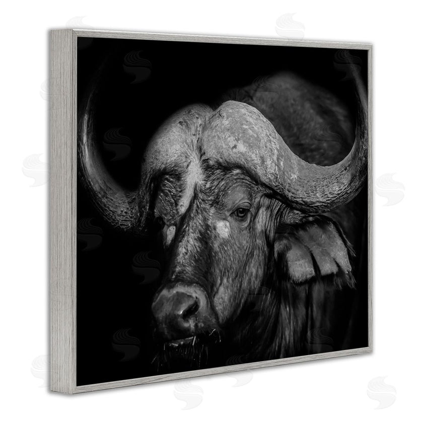 Marcus Prime | Dark Buffalo Photography