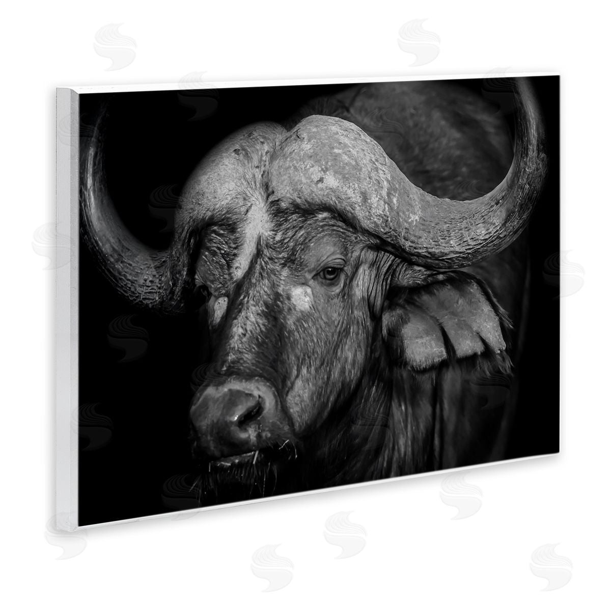 Marcus Prime Dark Buffalo Photography Wall Plaque Artside_
