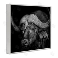 Marcus Prime | Dark Buffalo Photography